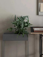 Plant Box - Warm Grey