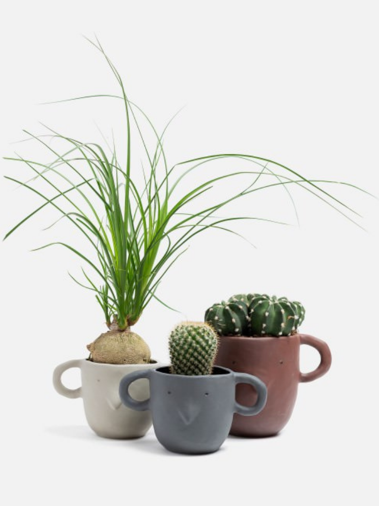 Mus Plant Pot Small - Dark Grey