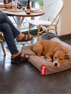 Doggielounge Large Stonewashed Taupe