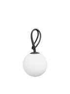 Bolleke Anthracite