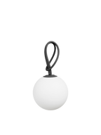 Bolleke Anthracite