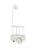 Jolly Trolley Bone