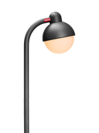 Jolly Trolley Anthracite