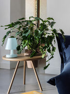 Edison The Ambiance Polar Blue