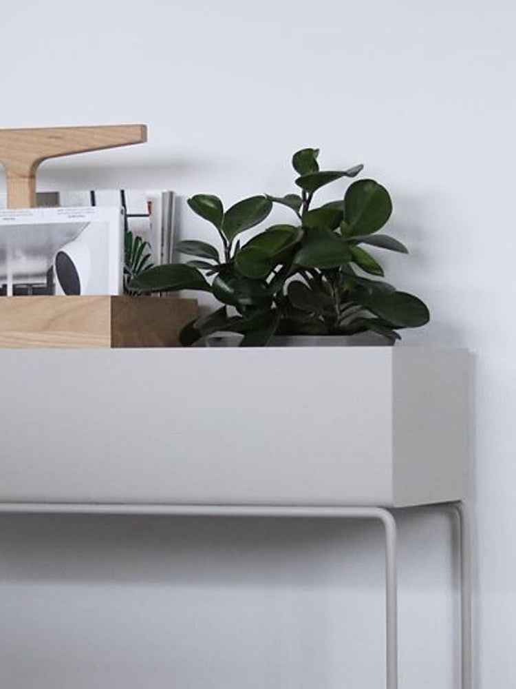 Plant Box - Large - Light Grey