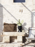 Way Cushion Sugar Kelp