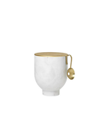 Alza Ice Bucket (Sample)
