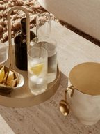 Alza Ice Bucket (Sample)