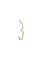 Curvature Hook - Brass (Sample)