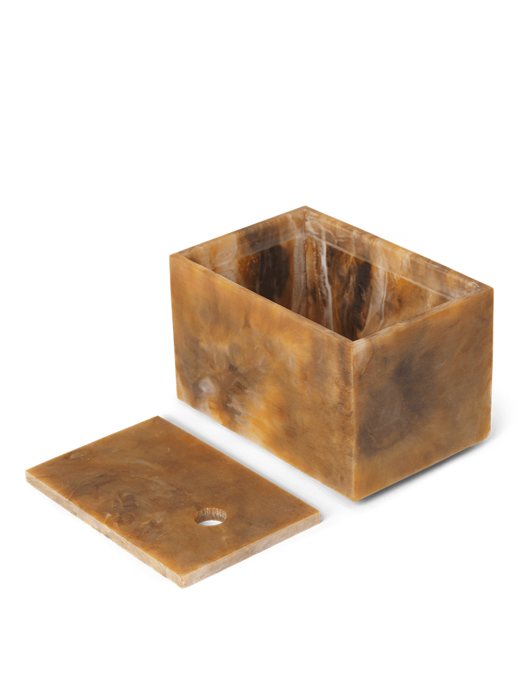 Mist Box - 10 x 15 - Sugar Kelp