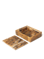 Mist Box - 15 x 20 - Sugar Kelp