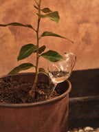 Mercury Water Globes - Small - Set of 2 - Clear