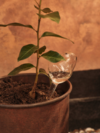 Mercury Water Globes - Small - Set of 2 - Clear