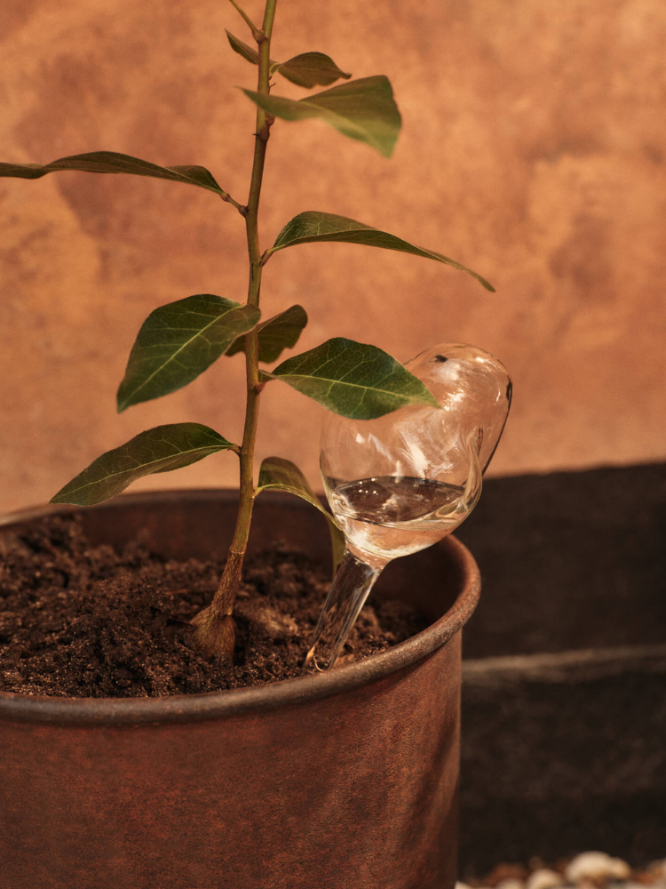Mercury Water Globes - Small - Set of 2 - Clear