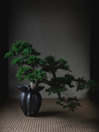 Lotus Vase, Mini - Coffee
