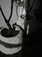 Urchin Plant Pot, Big - Beehive