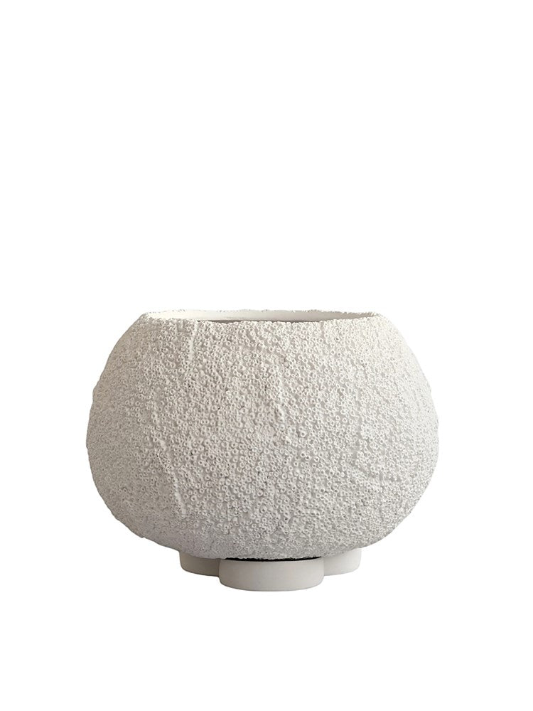 Urchin Plant Pot, Medio - Beehive