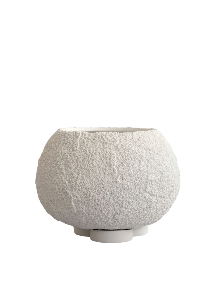 Urchin Plant Pot, Medio - Beehive