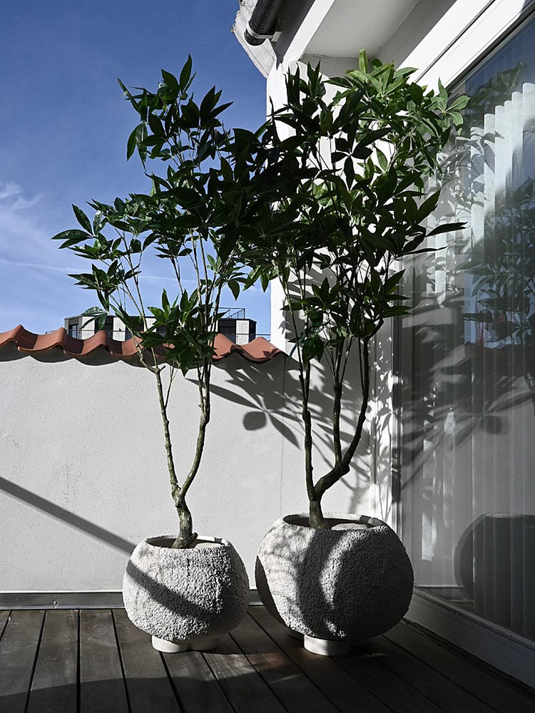 Urchin Plant Pot, Medio - Beehive