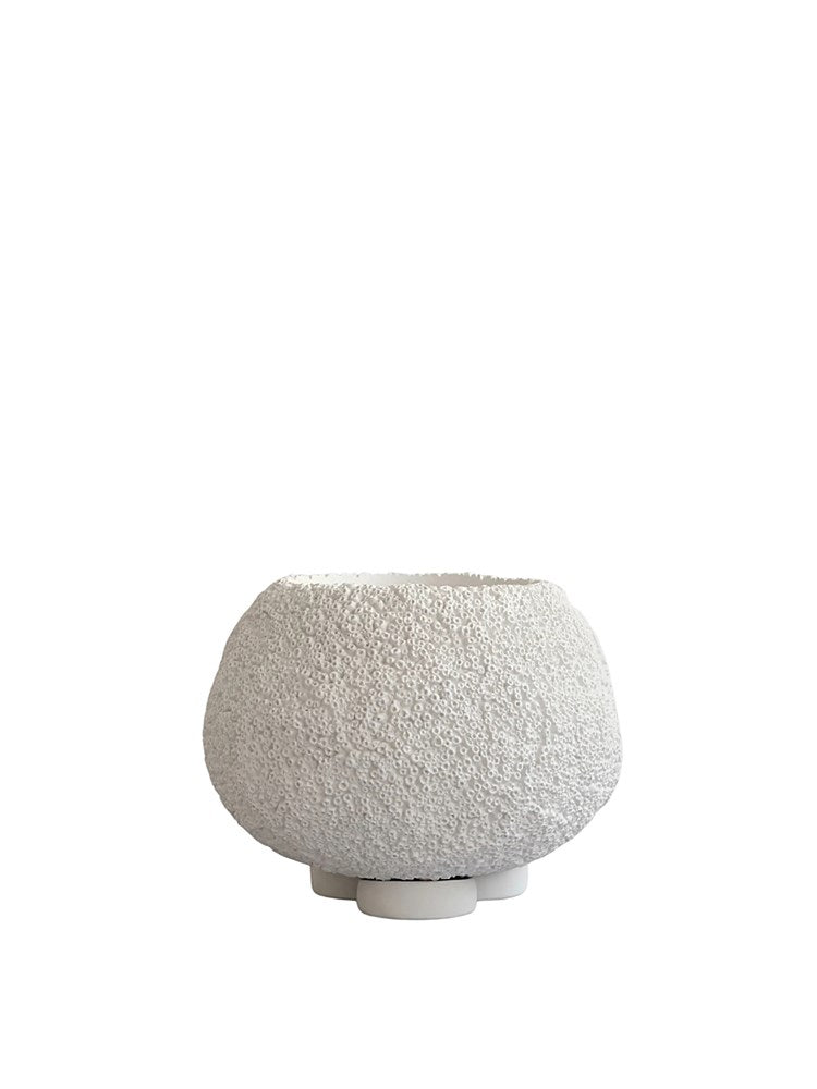 Urchin Plant Pot, Mini - Beehive