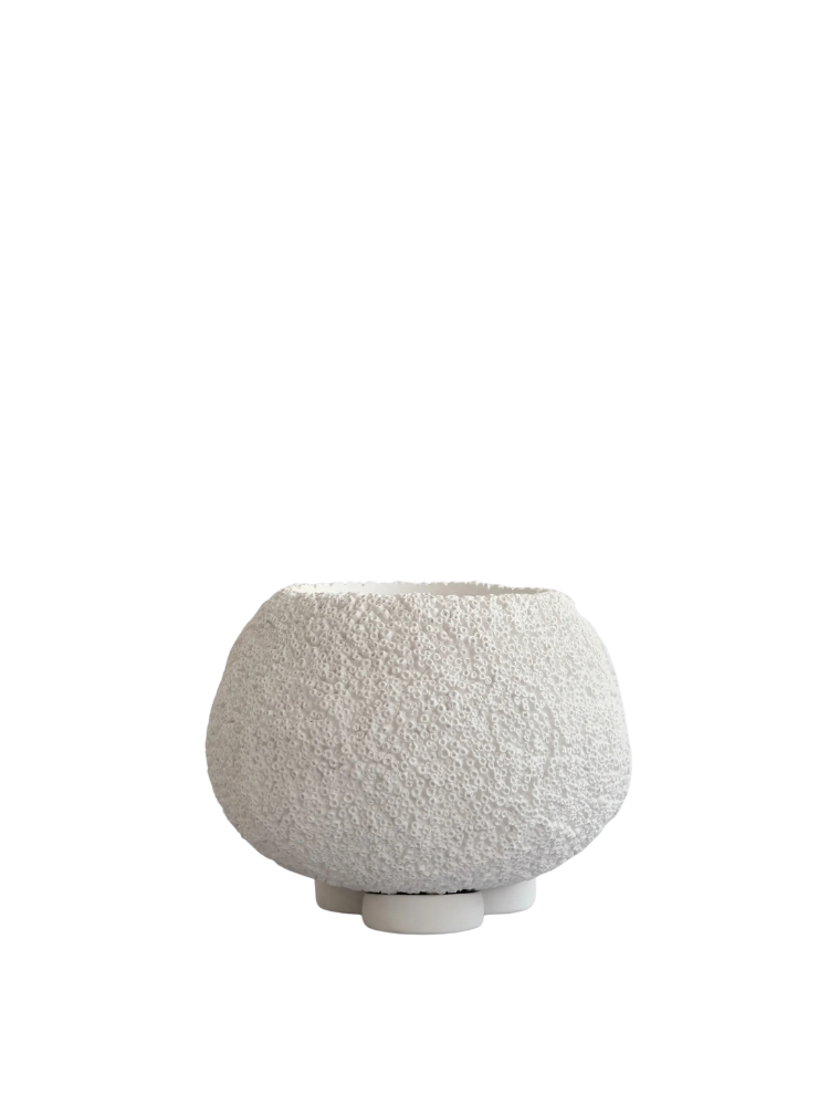 Urchin Plant Pot, Mini - Beehive