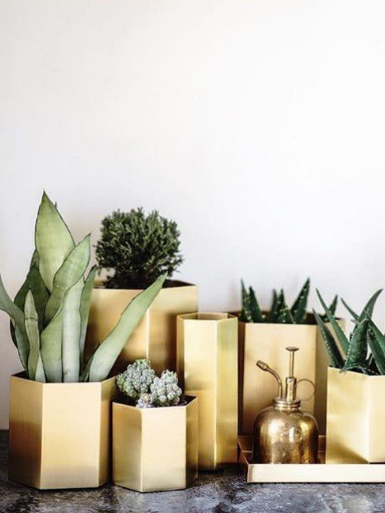 Hexagon Pot Brass - Small