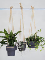 Plant Hanger - Medium