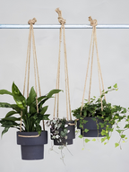 Plant Hanger - Medium