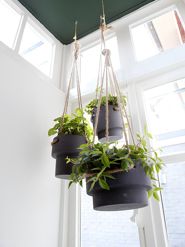 Plant Hanger - Medium