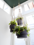 Plant Hanger - Medium