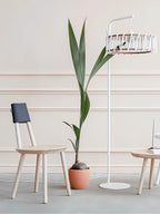 Na√Øve Dining Chair