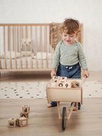 Toy Wheelbarrow